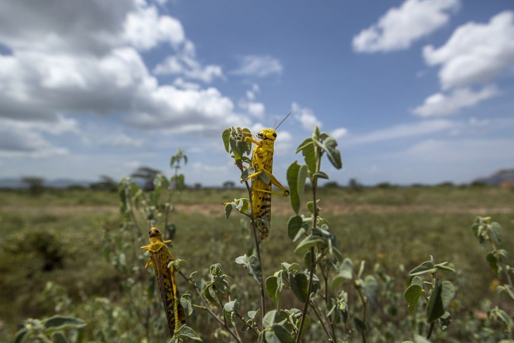 anh an tuong trong tuan 3 92 noi am anh virus corona super bowl cuon hut va ong trump duoc tha bong