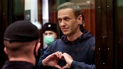 Vụ bắt giữ ông Navalny: Tòa án Nga bác kháng cáo, nhân vật đối lập vẫn nhận ‘tin vui’