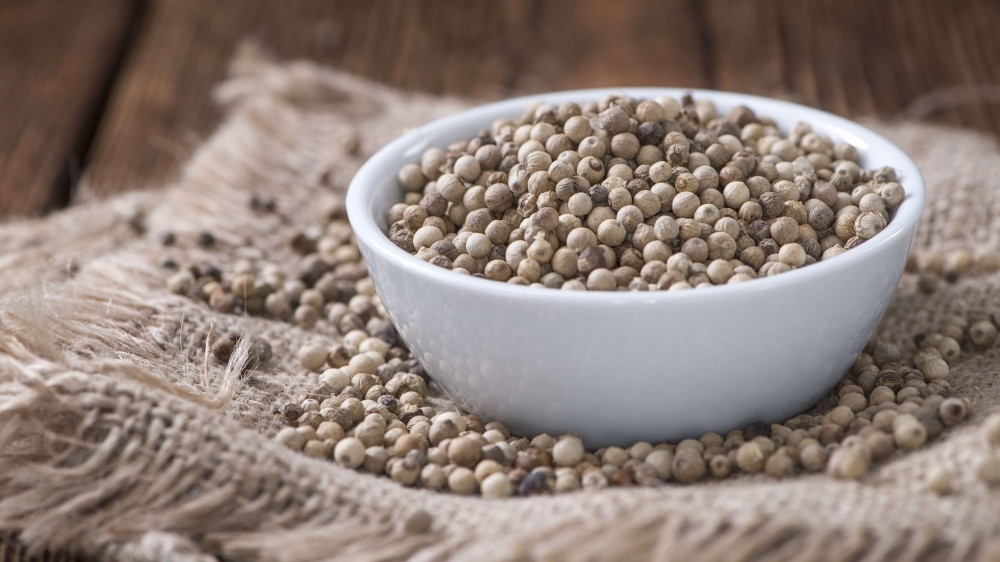 Giá tiêu hôm nay 6/12, người trồng khấp khởi trước vụ thu hoạch, còn bộn bề mối lo, nhiều chủ vựa phải bán lỗ hàng tồn