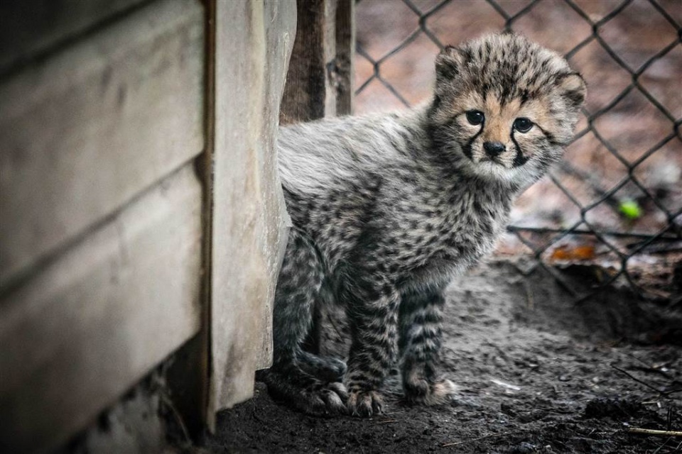 su kien trong tuan qua anh 6 123