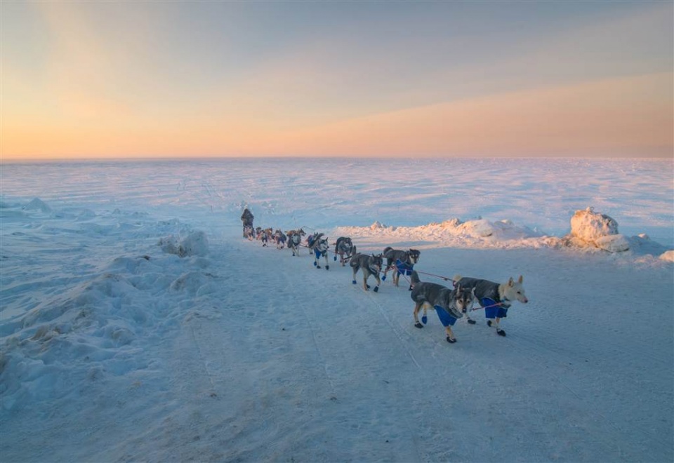 su kien trong tuan qua anh 11 183