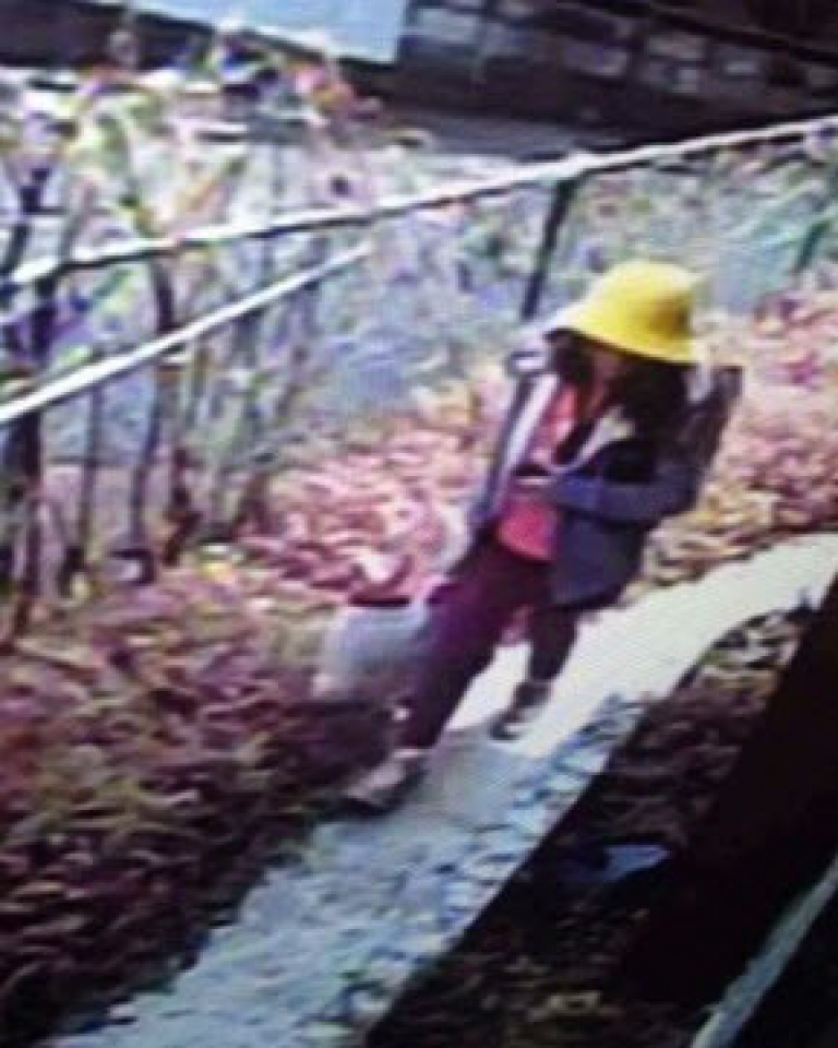 cong dong mang dau xot truoc vu be gai viet bi sat hai tai nhat