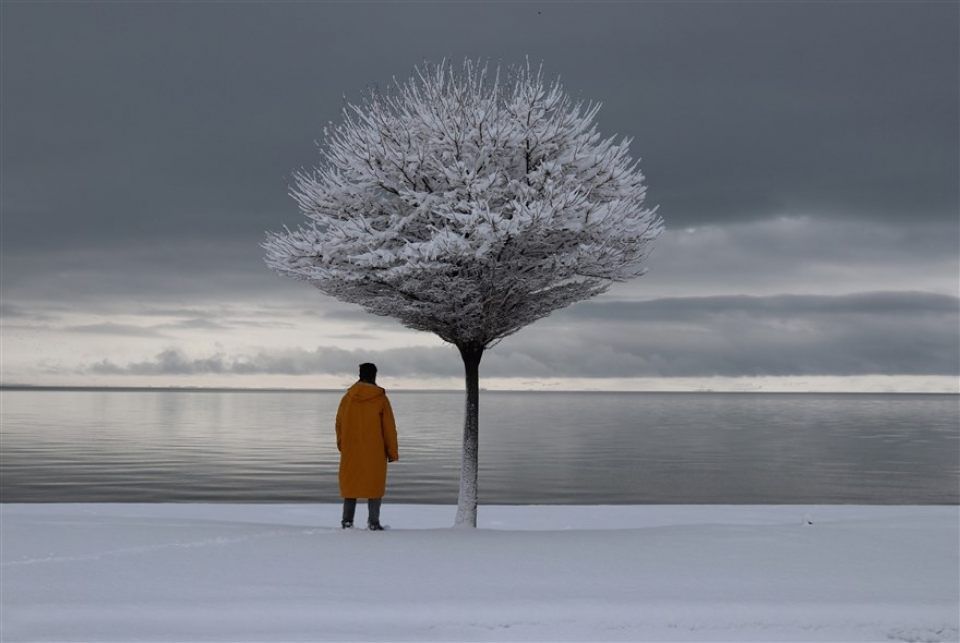 su kien trong tuan qua anh 232 23 khong co thoa thuan ha noi va suc nong tu oscar 2019