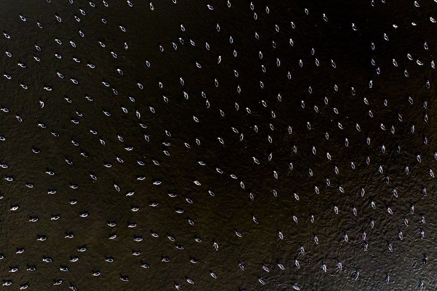 anh an tuong trong tuan 242 13 noi am anh covid 19 lan rong tu thieu o ukraine va khong kich tai gaza