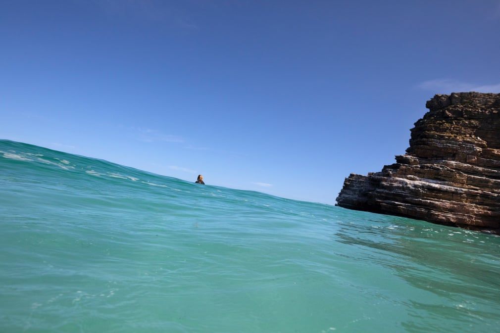 anh an tuong trong tuan 15 223 the goi te liet vi covid 19 va cach goi ten virus corona gay tranh cai cua ong trump