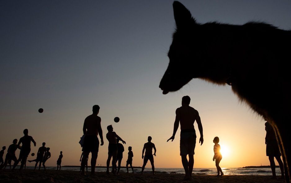 anh an tuong trong tuan 15 223 the goi te liet vi covid 19 va cach goi ten virus corona gay tranh cai cua ong trump