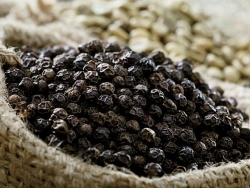 Giá tiêu hôm nay 19/6/2024, giá trong nước tăng khiến doanh nghiệp khó buôn khó bán, khuyến cáo người dân không ồ ạt mở rộng diện tích