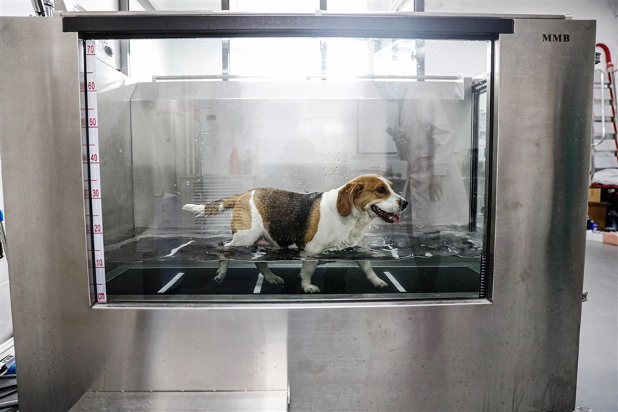 Ảnh ấn tượng tuần (8-14/3): Căng thẳng Myanmar, gói cứu trợ 1.900 tỷ USD tham vọng của Mỹ, Hoàng tử Harry và 'cú ấn nút bom hạt nhân'