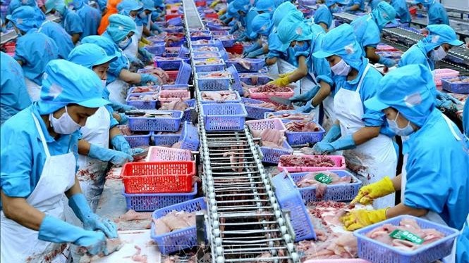 Nhờ UKVFTA, chưa bao giờ thương hiệu và sản phẩm của Việt Nam được người Anh quan tâm như hiện nay