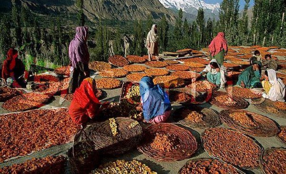 vung dat 900 nam khong co ai mac ung thu