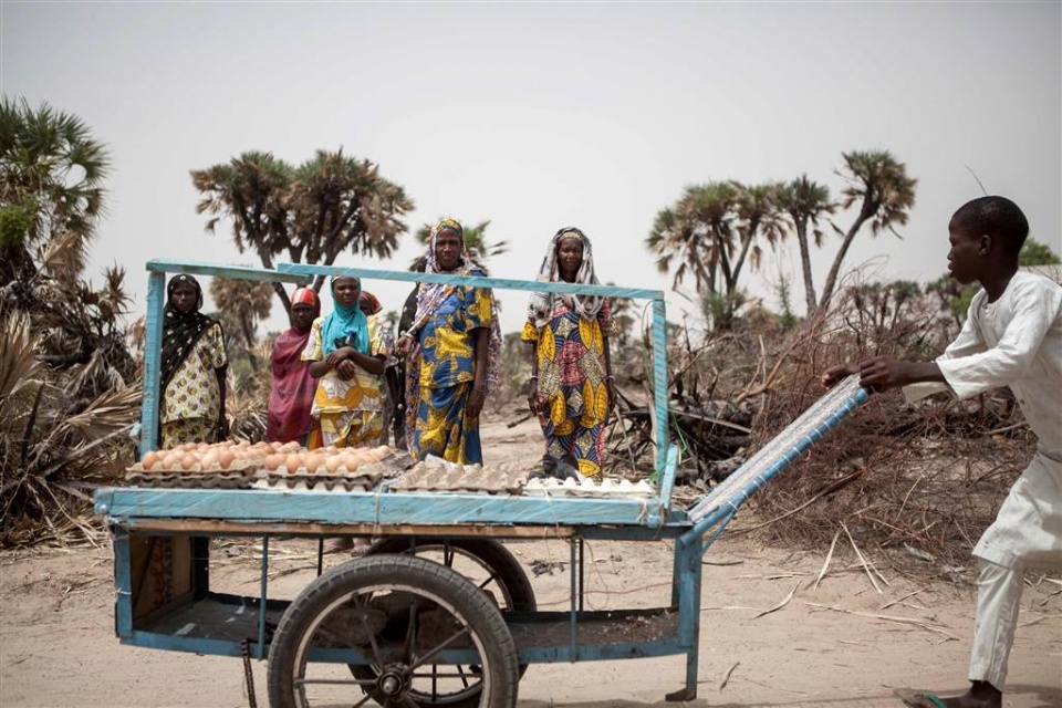 su kien trong tuan qua anh 23 294