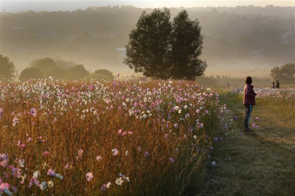 su kien trong tuan qua anh 23 303