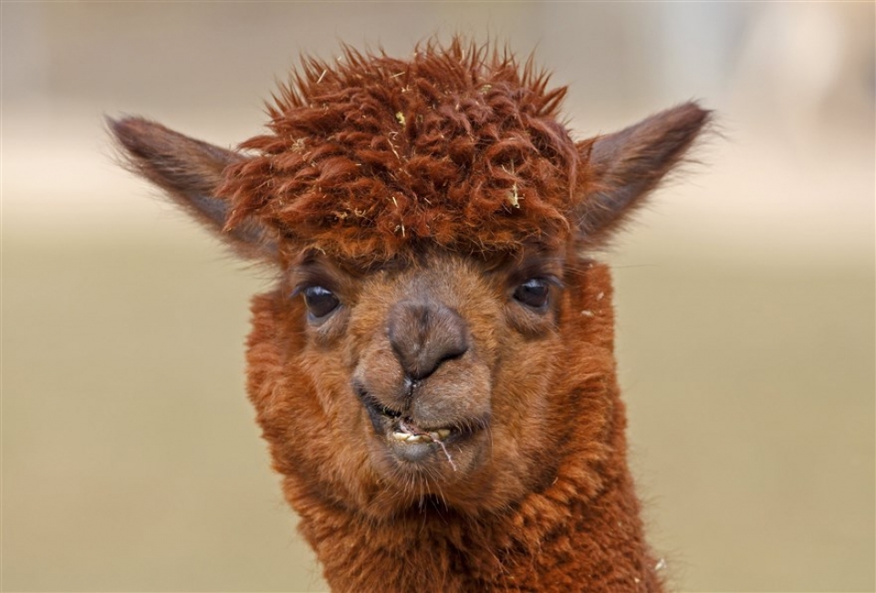 su kien trong tuan qua anh 23 303