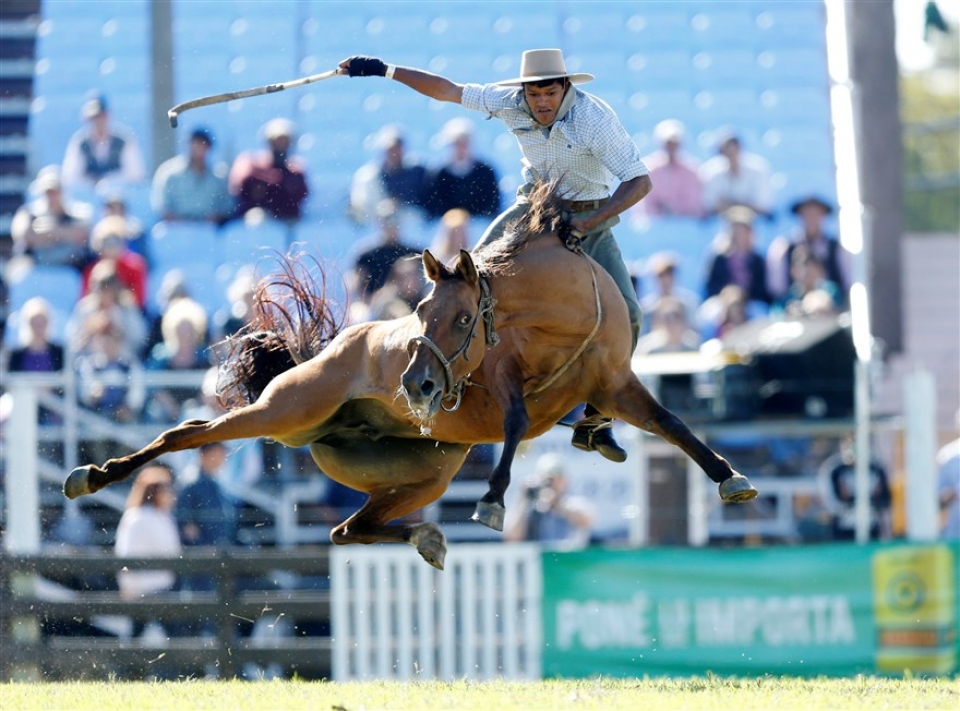 su kien trong tuan qua anh 23 303