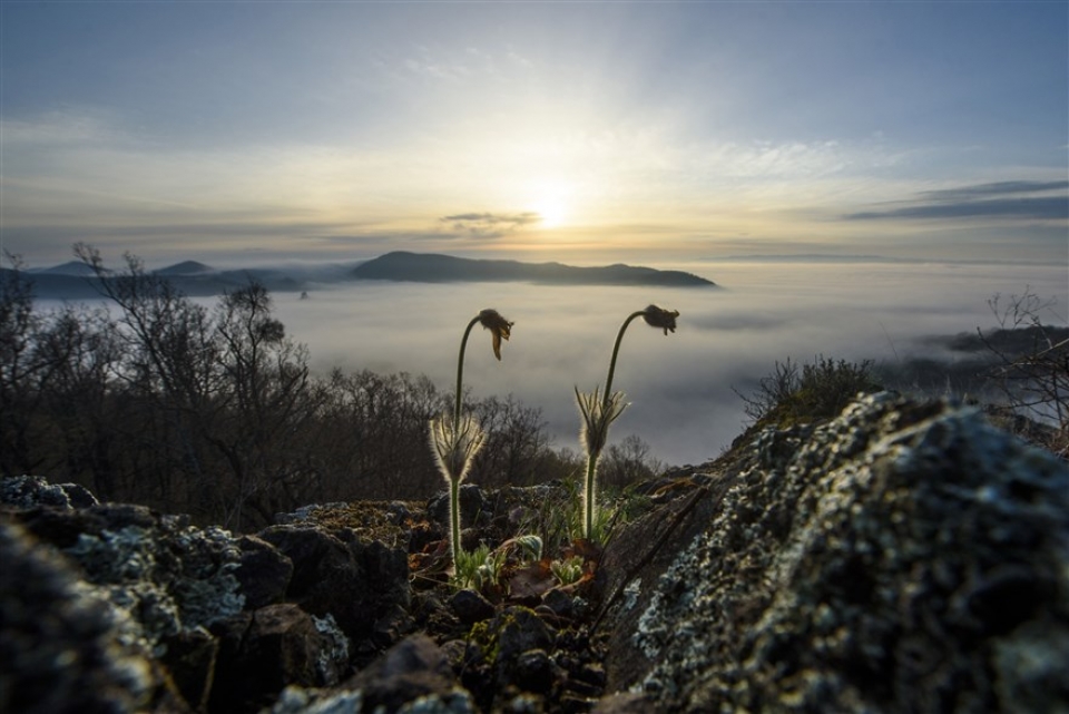 su kien trong tuan qua anh 7 144