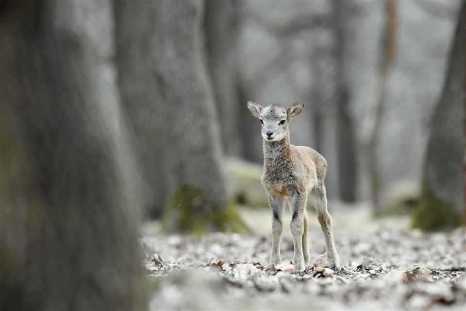 su kien trong tuan qua anh 7 144