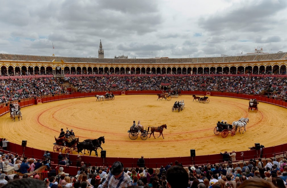 soi dong le hoi dua ngua sevilla o xu so bo tot