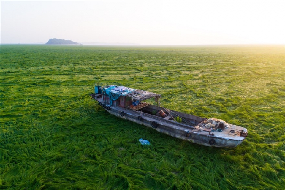 su kien trong tuan qua anh 14 214