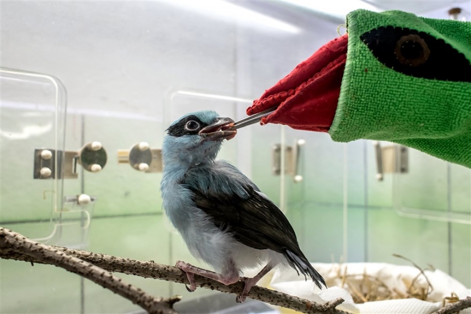 su kien trong tuan qua anh 14 214