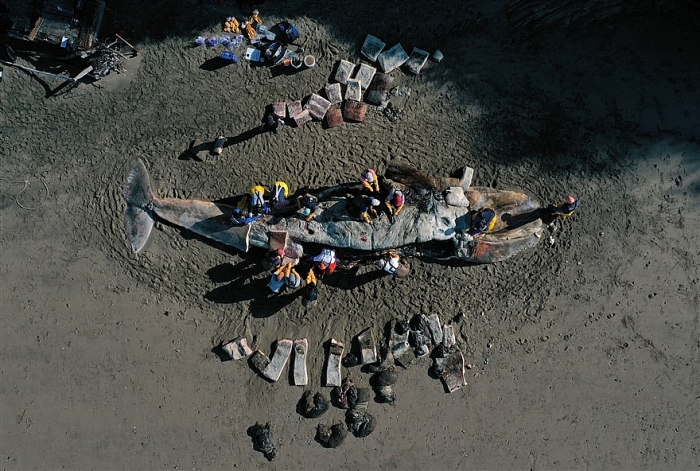 anh an tuong trong tuan 21 284 cap doi trieu tien nhay day chup anh cuoi