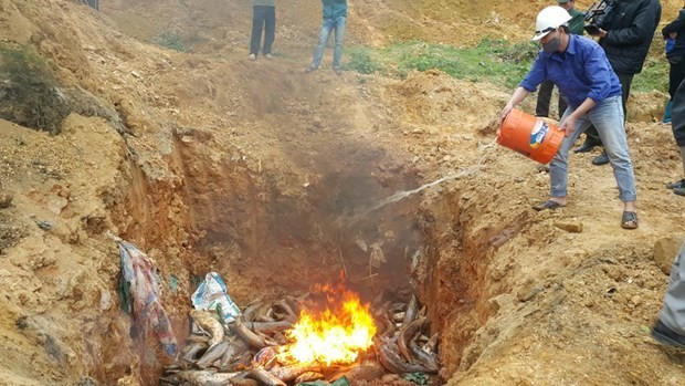 (Nguồn: Vietnamplus)