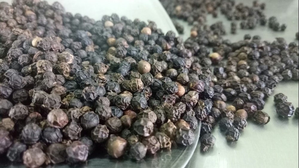 gia tieu hom nay 2532025 xuat khau giam manh gia cao nguon cung tieu nam 2025 thap hon nhieu so voi cung ky