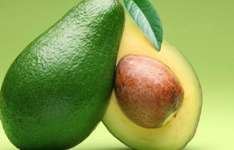 Mexico sáng chế nhựa sinh học từ hạt quả bơ