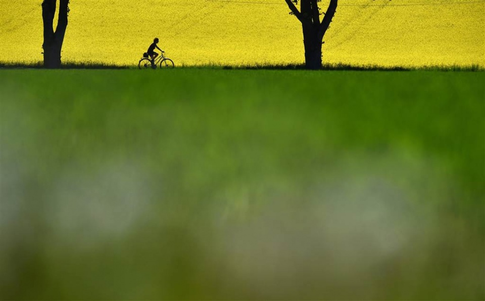 su kien trong tuan qua anh 14 205