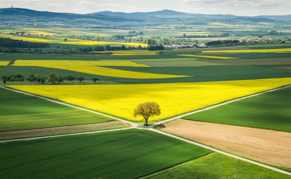 su kien trong tuan qua anh 20 275