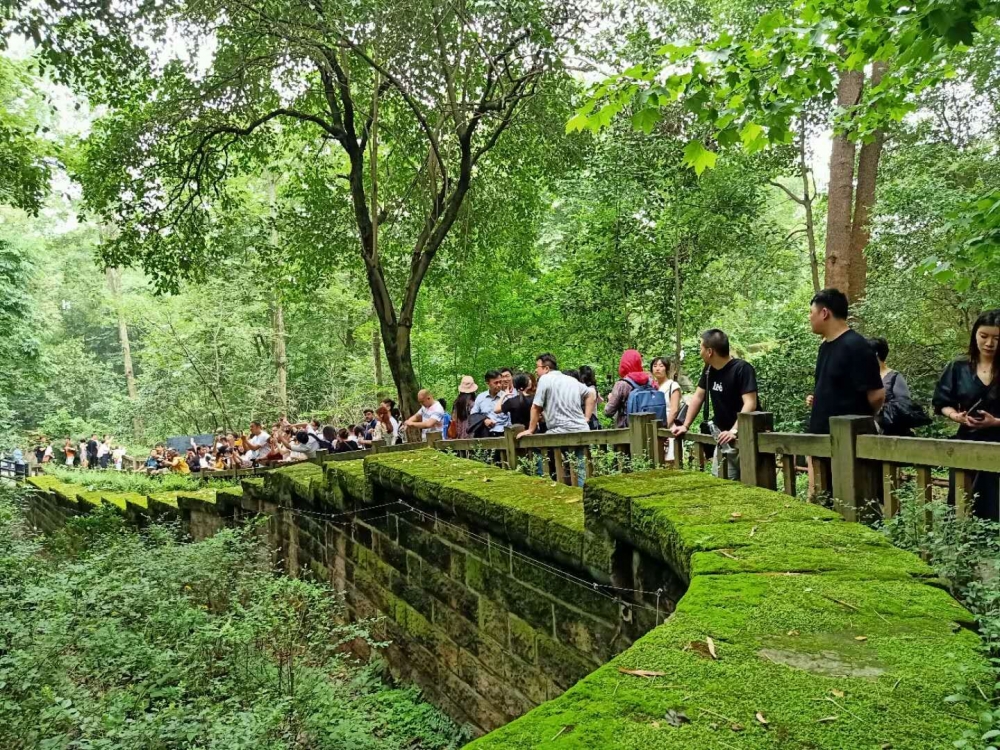 den trung quoc ngam nhung chu gau truc de thuong nhat the gioi