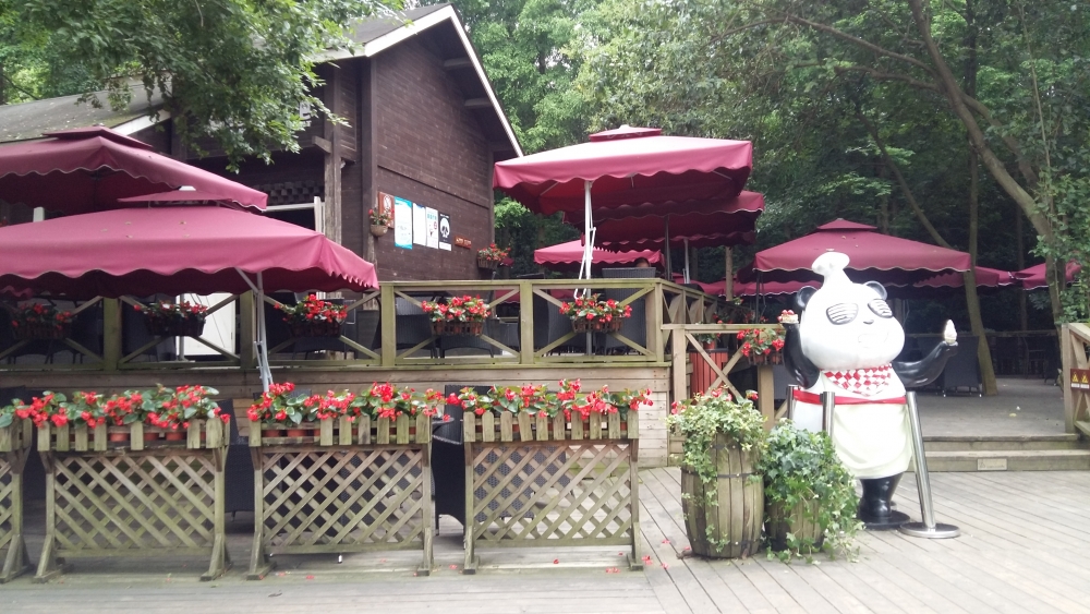 den trung quoc ngam nhung chu gau truc de thuong nhat the gioi