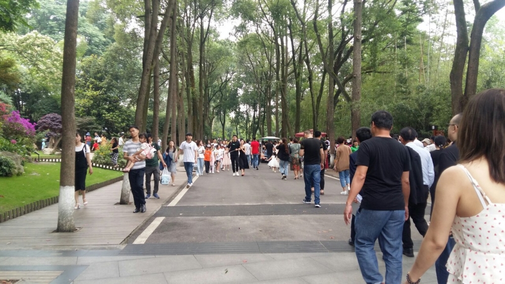 den trung quoc ngam nhung chu gau truc de thuong nhat the gioi