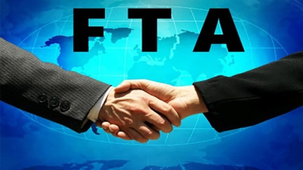 chu dong lap lo hong kien thuc ve cac fta tuan thu luat choi va gat hai trai ngot