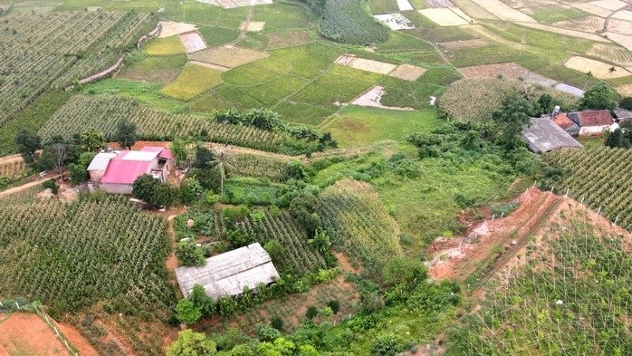 bat dong san moi nhat dat nen khong con duoc san don dieu kien tach thua o ha noi loat du an chua du dieu kien huy dong von