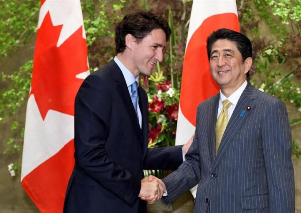 canada nhat ban hop tac chong bien doi khi hau thuc day tpp