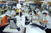 7 thang xuat khau ca nuoc tang gan 19