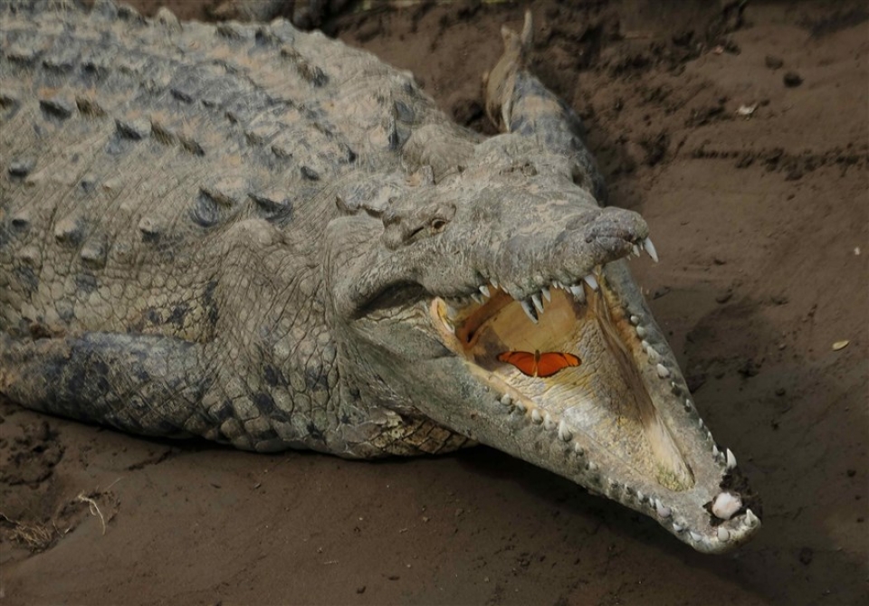 su kien trong tuan qua anh 2 86