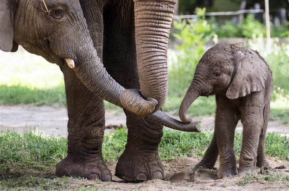 su kien trong tuan qua anh 16 236