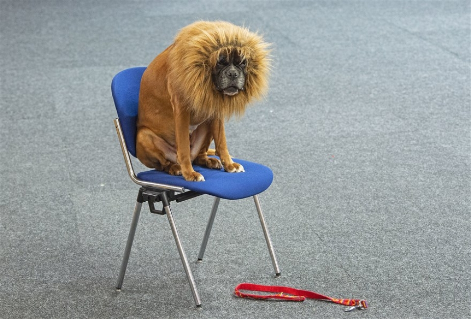 su kien trong tuan qua anh 16 236