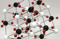 moi tham du hoi cho xuat nhap khau so 1 trung quoc va the gioi