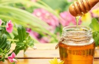 dau ra nao cho nong san sach