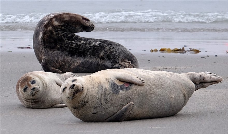 anh an tuong trong tuan 9 166 khi f 35 pho dien suc manh tren bau troi new york