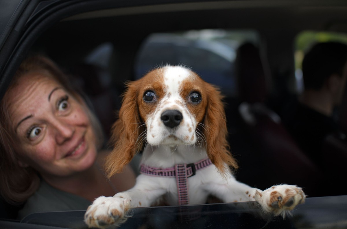 anh an tuong tuan 1 76 bieu tinh cuong no o my nam dam cua ong tump va noi dau covid 19 o brazil