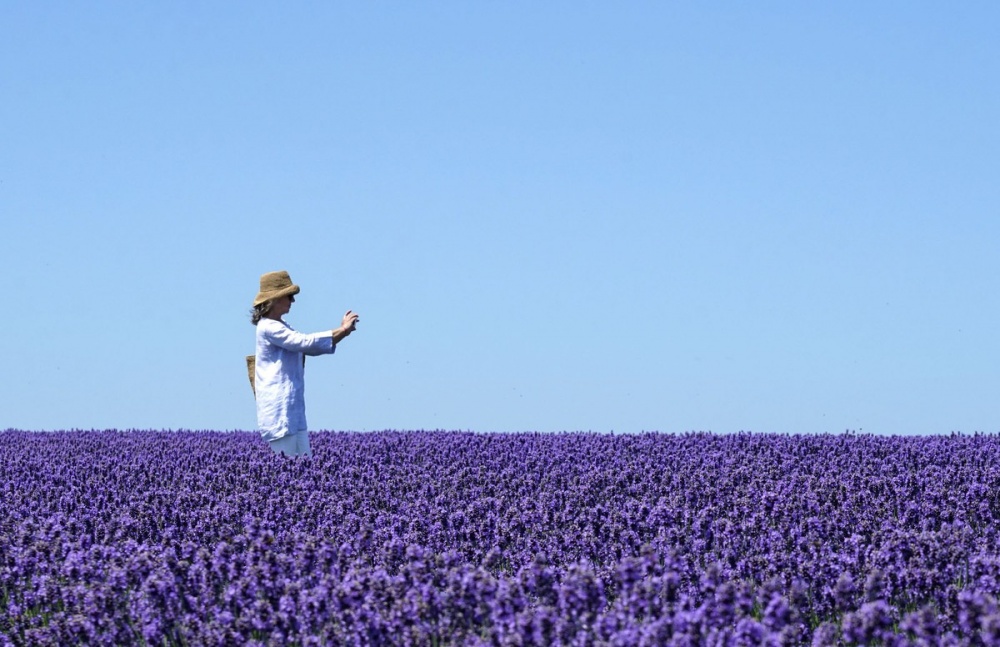 anh an tuong tuan 22 286