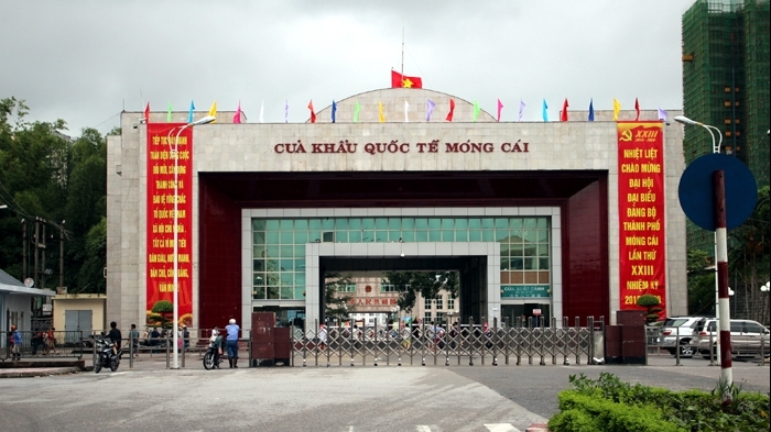 xuat khau ngay 8116 doanh nghiep my thich nhap hang viet vai thieu vao eu nho evfta giao thuong qua cua khau mong cai tang manh