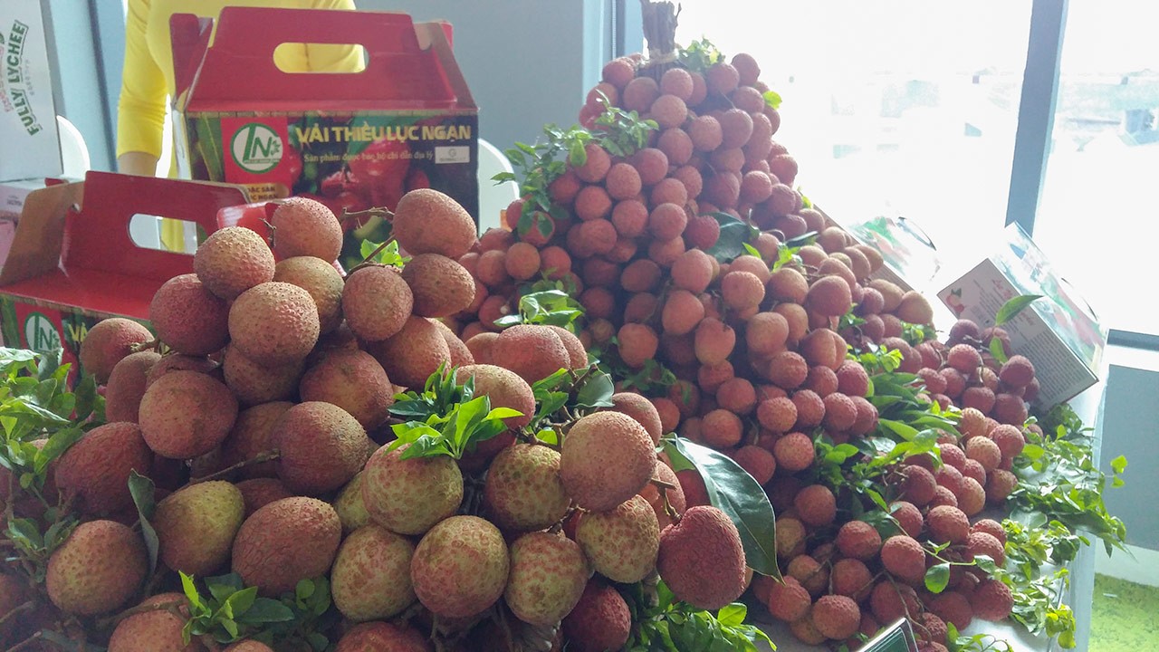 Một địa phương bất ngờ vượt nhiều tên tuổi lớn, có kim ngạch xuất khẩu đứng thứ hai cả nước Một địa phương bất ngờ vượt nhiều tên tuổi lớn, có kim ngạch xuất khẩu đứng thứ hai cả nước