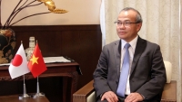 Đại sứ Vũ Hồng Nam: Quan hệ Việt Nam-Nhật Bản như khóm hoa muôn sắc rực rỡ, tràn đầy sức sống
