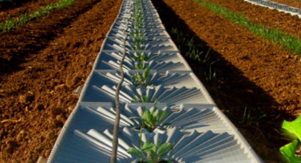 ung dung cntt vao nong nghiep nguon loi ben vung cho doanh nghiep