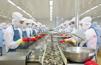 bo ngoai giao thong tin ve nguoi viet tai nga va saudi arabia