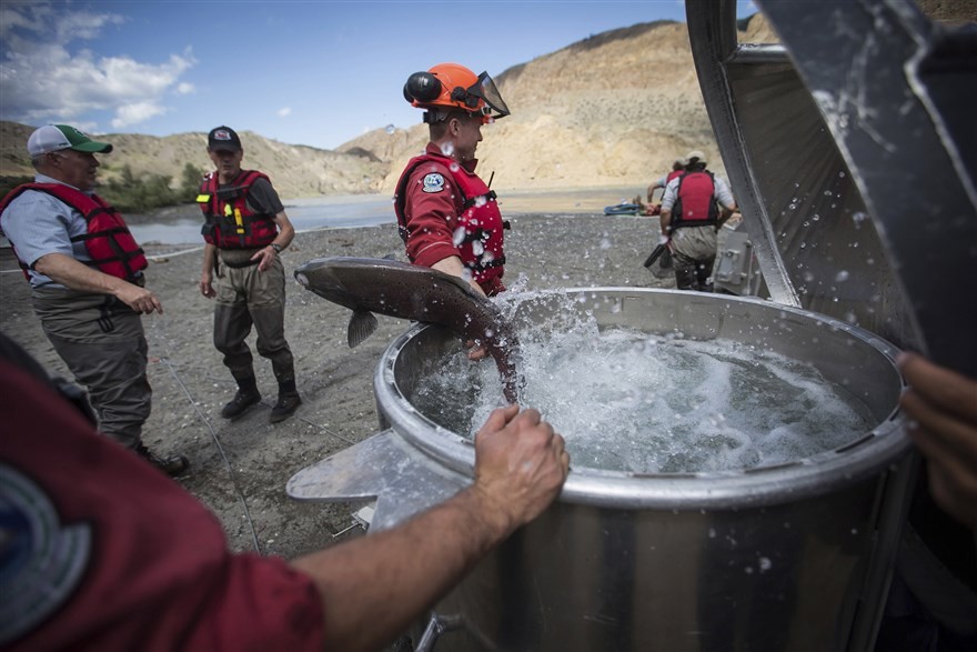 anh an tuong trong tuan 22 287 tan thu tuong anh ra mat nu hoang elizabeth ii